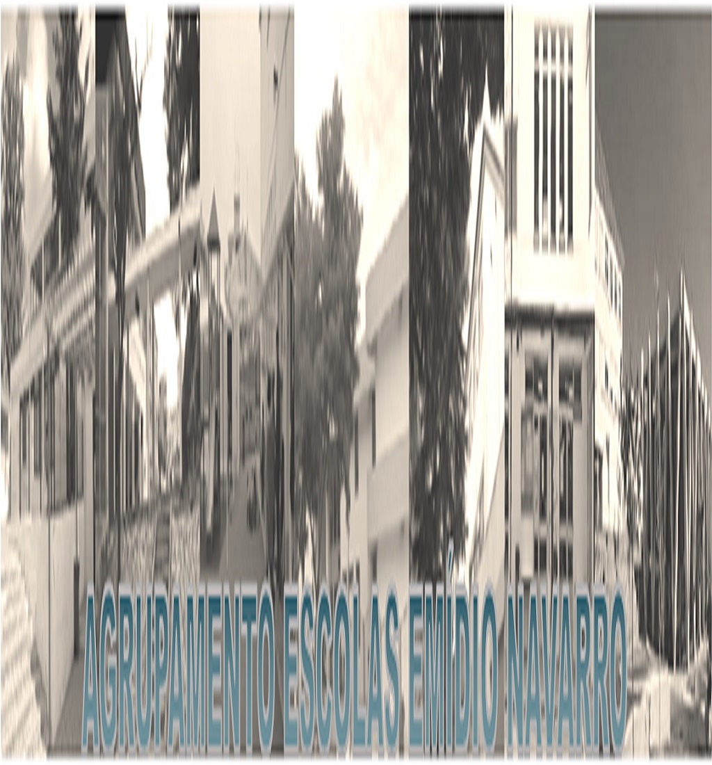 AEEN_Escolas.jpg